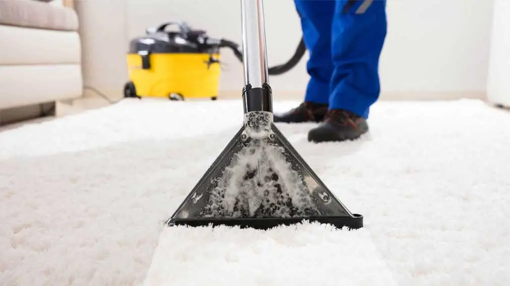 Carpet Cleaning