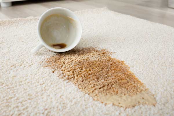 Carpet Stain Removal
