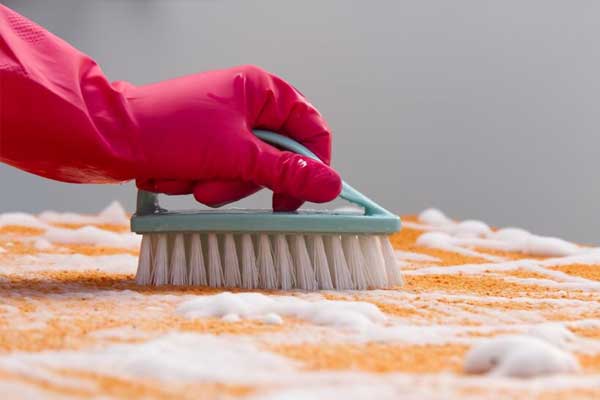 Carpet Sanitization
