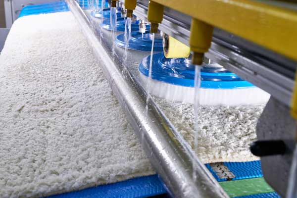 Carpet Deep Cleaning